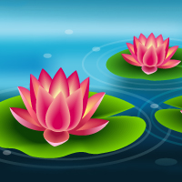 Lilypad